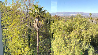 Interpol Mexico -  with Lawson Jones and Luna Legend