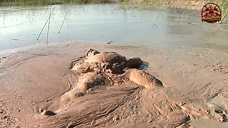 Splish Splosh - What a Mud-jump!