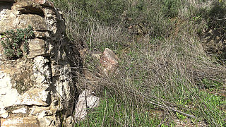 Cheating wife lets stranger fuck her fat ass outdoors