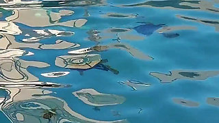 Cuckquean POV - BBW Cuckcake Fucks My Husband in Outdoor Pool While I Film Underwater
