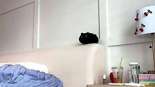 Big Boobs Cam Sex Toys more