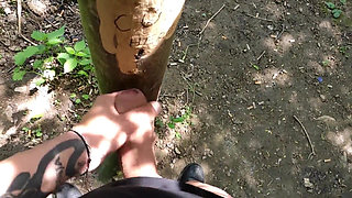 Cumshot on 'cum Here' Tree, Showing Cum Close up and Piss at a Cruising Area