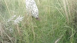 Sania Big Tits Wife Open Sex in Field Hindi Video