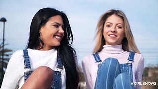 Apolonia's Hot Lesbian Affair Ignites Wild Pool Table Passion