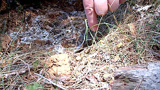 Insane Compilation: Asian Schoolgirl Sucks, Forest Fuck & Snow Pussy Licking!