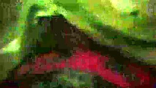 Latin Step Mom Cums Like a Bitch in Heat – Amateur POV