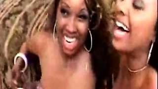 CIMA black and ebony