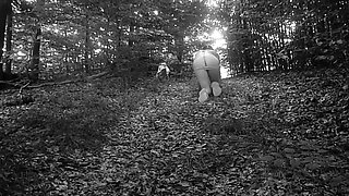 Pet Girl Obedience Training