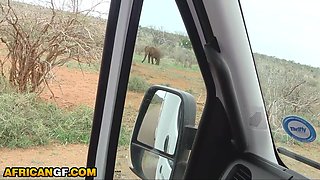 Insatiable Black Gf Requests Massive White Fuckpole In The Middle Of Safari Journey