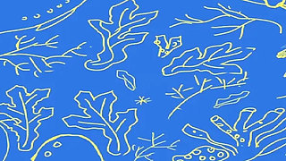 The Selkie (part 5)