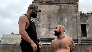 The Bearded Master Has a Hairy Pig Slave and Shaves Its Head.