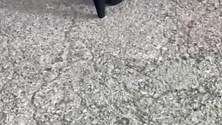 Walking Around Desperate for a Pee Pissing My Pants