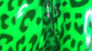 I Seduce You with My Glossy Green Minty Lips and Kisses and Shiny Latex