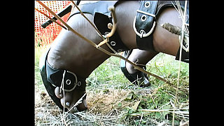 Big Tits Italian Trans Blowjob - Episode 1 Vintage HD