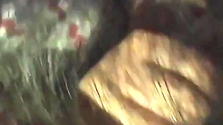 Indian Young Collage Girl Hard Fuck