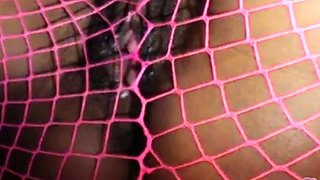 Bee Squirts through Fishnets