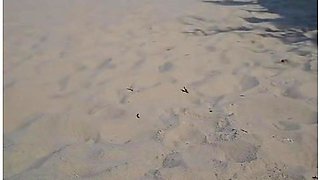 Sex Camping On A Public Beach In Germany (part 1)