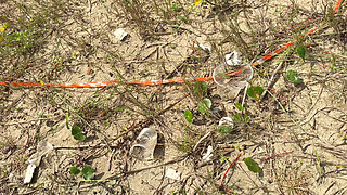 On the Beach My Wife and I Invited a Beachgirl to Fuck She Accepted Because She Was Very Horny! She Has a Pink Pussy