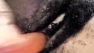 Ebony Amateur Toys Her Hairy Pussy on Webcam
