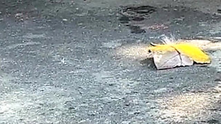 Huge Piss Fountain on My Soles - Motorbike Public Flashing