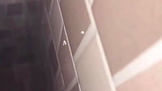 Fit Brunette Latina PAWG Enjoys Her Lover's Dick In the Toilet & In the Car While On Phone With Her BF