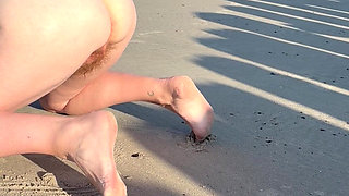 Doggy Piss on the Beach