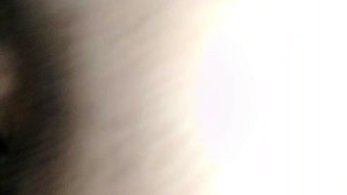 the bull fucking my wife's pussy.