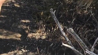 Shooting blonde creampie'd by personal trainer outdoors