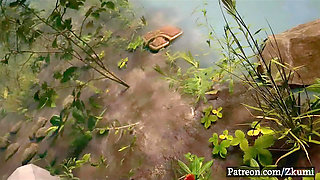 elf fucks in the forest whit human