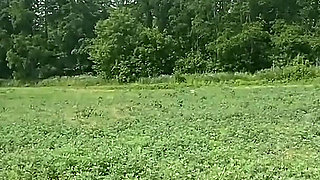 Fucking Myself in the Middle of a Field