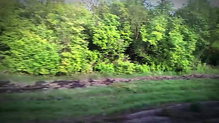 Twink took the train from the city to the forest to jerk off his cock among the mushrooms and trees