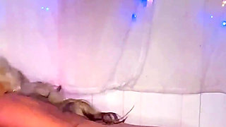 School Girl Striptease