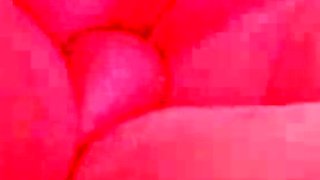 Hot Wife Impaled By Hard Cock nn