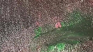 Findom Goaldigger Barbie Art Hands Worship