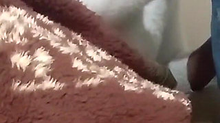 Stepsister in 4K Pulls Out His BBC Dick and Starts Sucking It, Giving Him Her Pussy