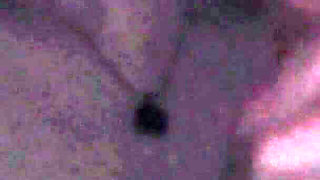 I Got Bored in Bed This Evening, so I Decided to Suck a Cock and Play with My Perfect Ass