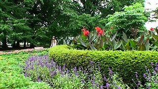 Teen Cute Italian Brunette Solo At