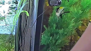 Cute 19 Year Old Blonde Riding Excersize Bike with Massive Dildo